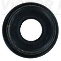 Seal Ring, valve stem